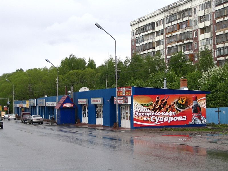 Файл:Ряд магазинов по правой стороне Суворова.jpg