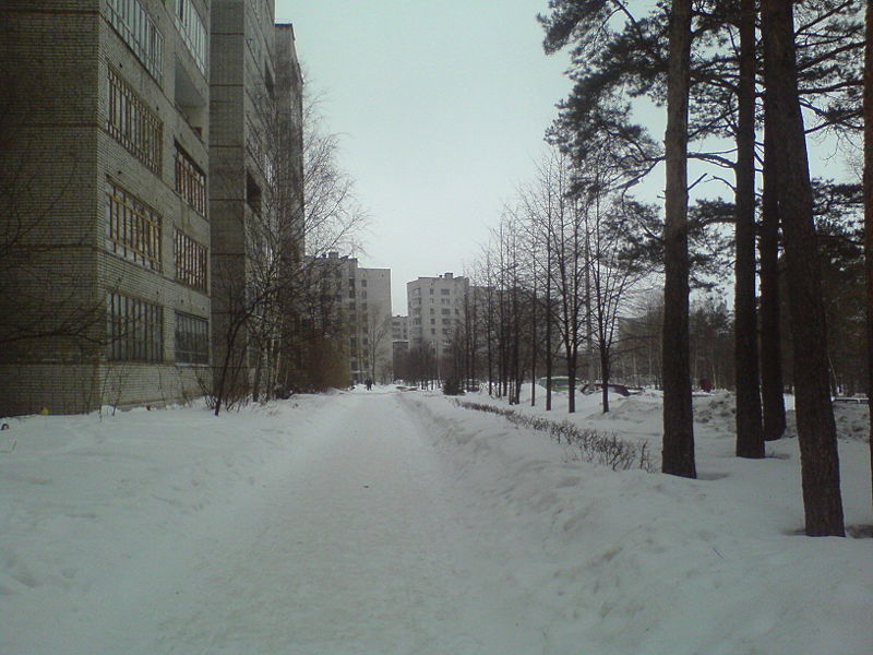 Файл:Улица Курчатова.JPG