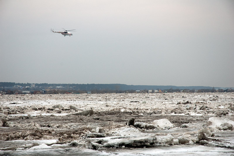 Файл:DSC73549.jpg