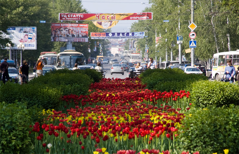 Файл:Ленина-DSC36037.jpg