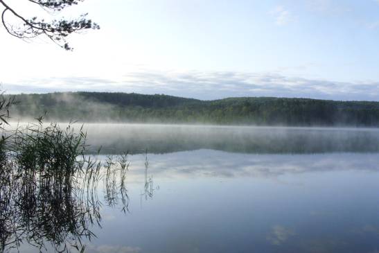 Файл:Кирекские красоты.jpg