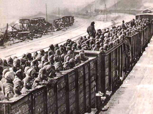 Файл:Пленные бойцы 24 армии (1941).jpg