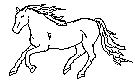Файл:Wiki.png