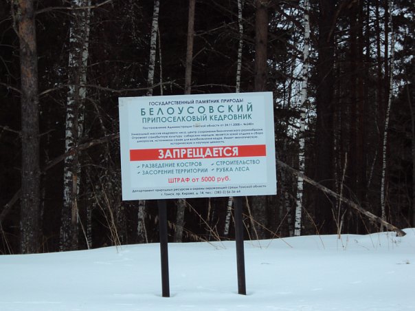 Файл:X f302fcfc.jpg