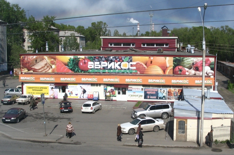 Файл:Абрикос в Киевском ЦОТе.jpg