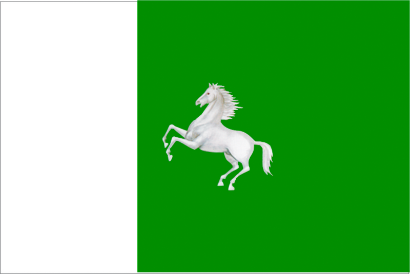 Файл:Tomsk city flag.png