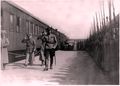 Парад частей Сибирской Армии (лето 1919).jpg