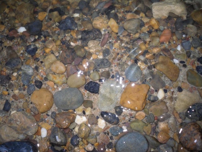 Файл:River stones.jpg