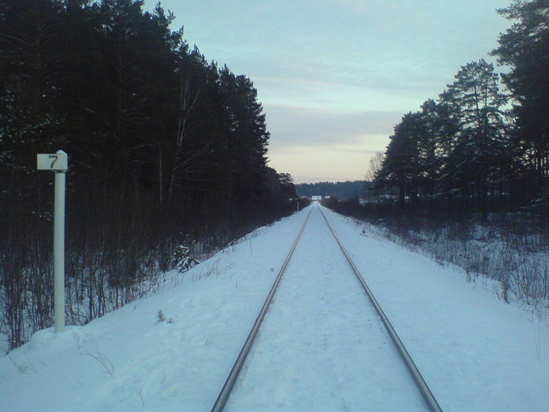 Файл:Железная дорога в Северск.JPG