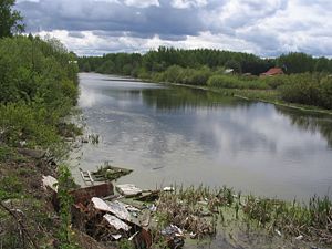 Озёра Томска — Товики