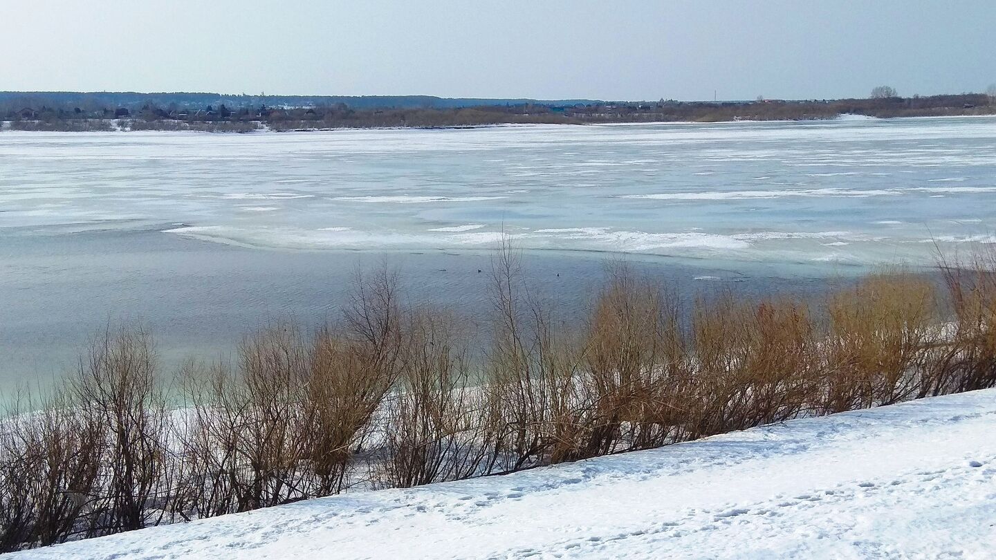 семейкин остров томск