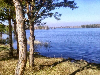 Водохранилище новосибирск фото