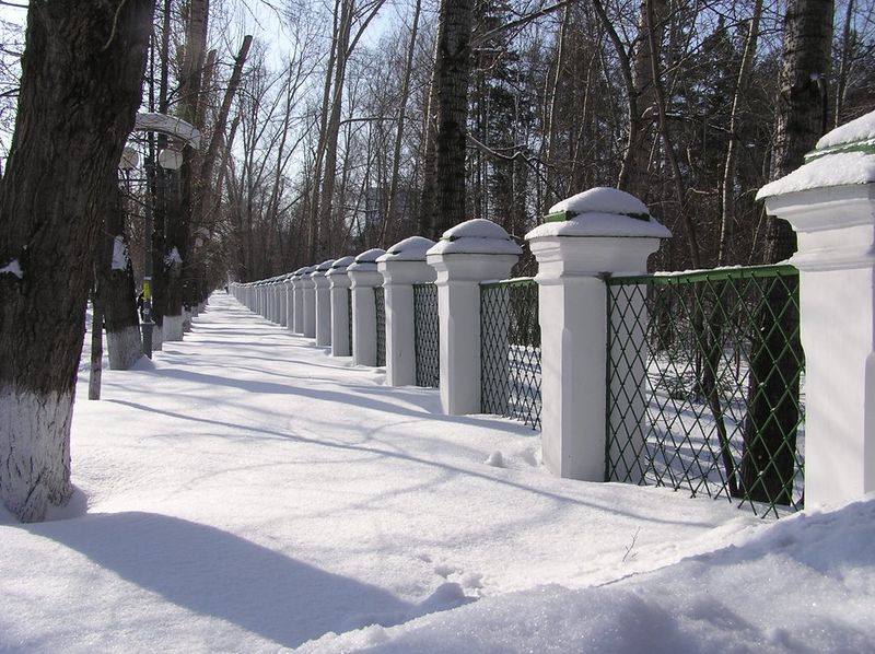 Файл:Ограда Университетской рощи (зима).jpg