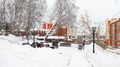Вид на «Памятник пивоварам, основателям пивоварения в Сибири» в сквере на «Аллее пивоваров»